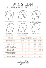 Load image into Gallery viewer, Straight Glueless Virgin Hair 4x4 Transparent Lace Closure Wig Natural 1b colour 12&quot; to 30&quot;